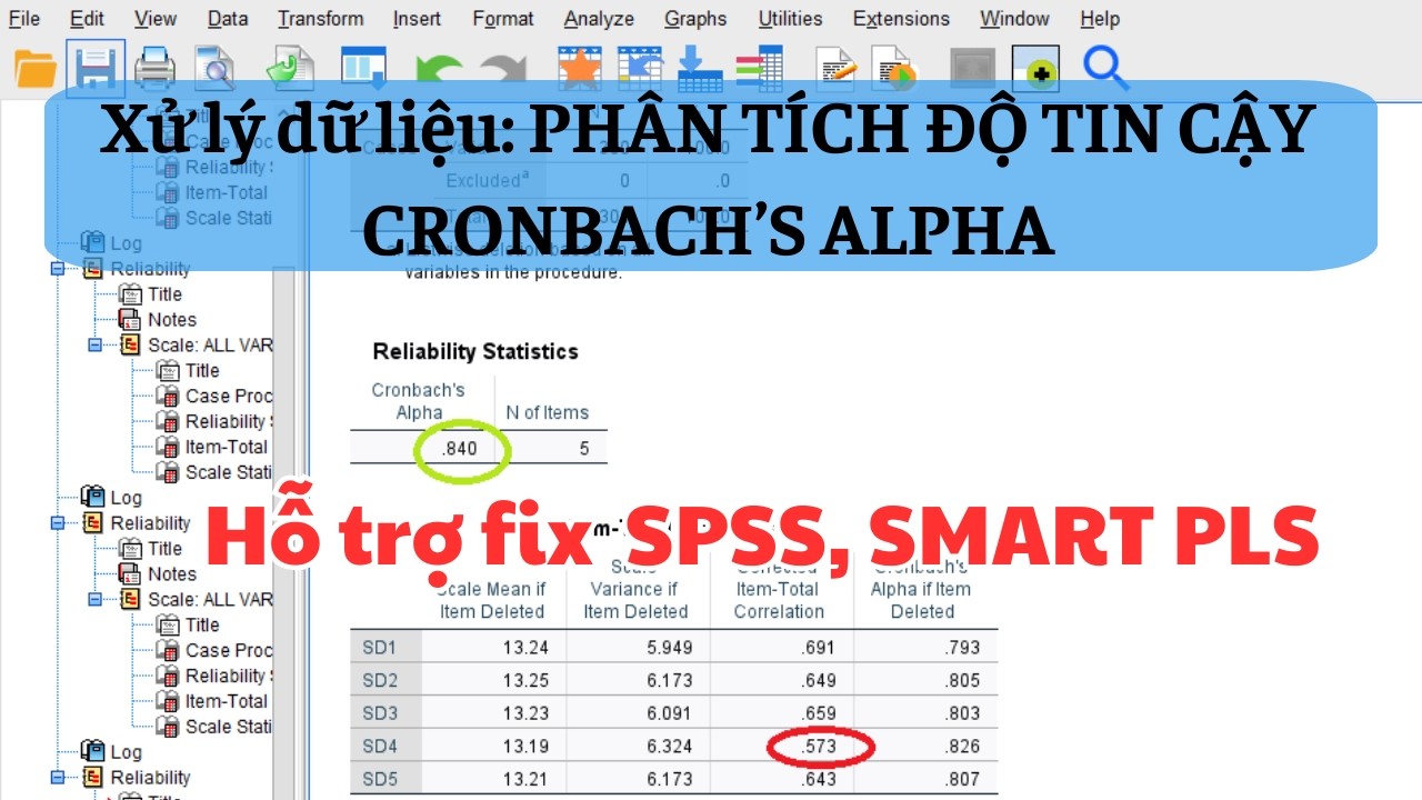 [IUH] CÁCH SỬA DỮ LIỆU (data): Phân Tích Độ Tin Cậy Cronbach’s Alpha
