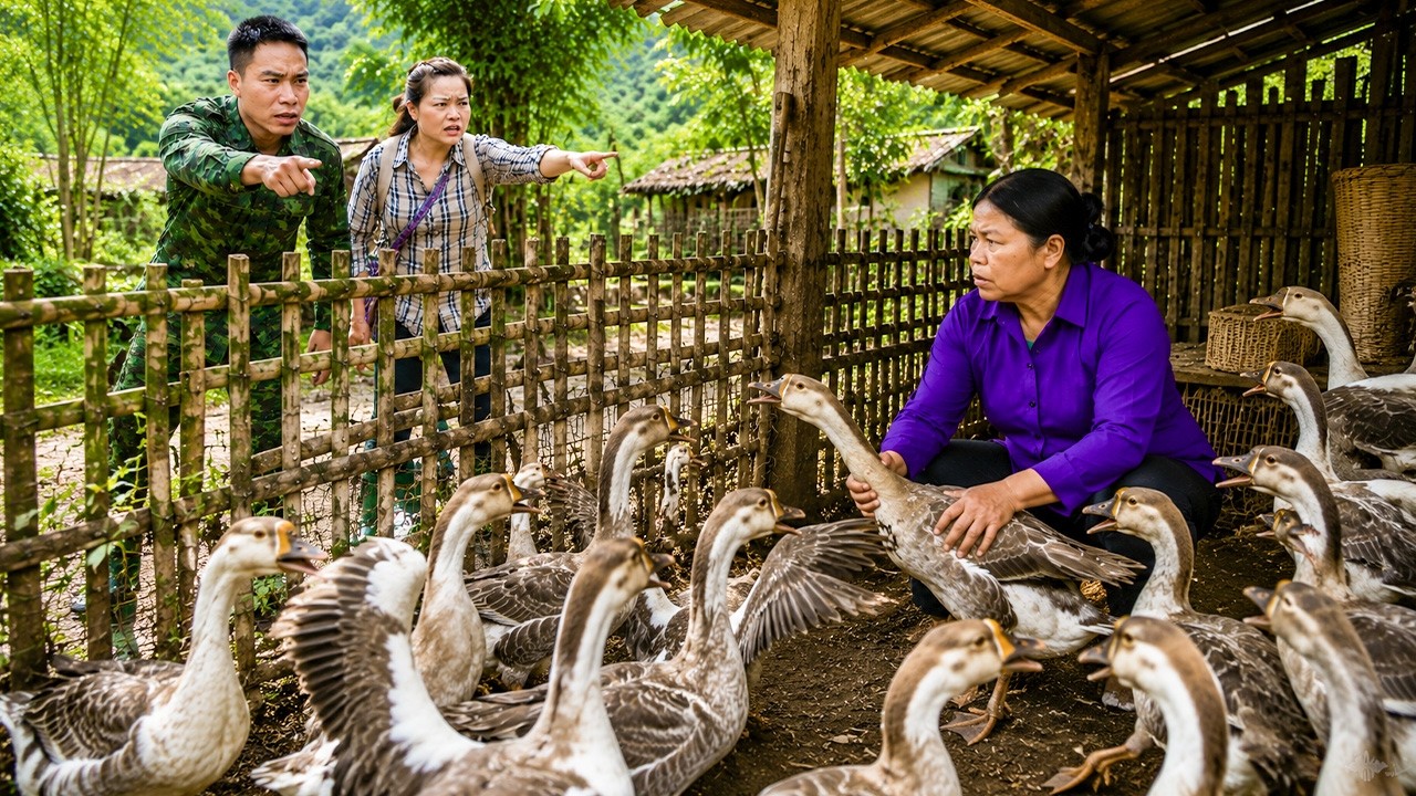 My Wicked Mother-in-Law Stole Our Geese While We Were Away &mdash; What Should We Do Now?