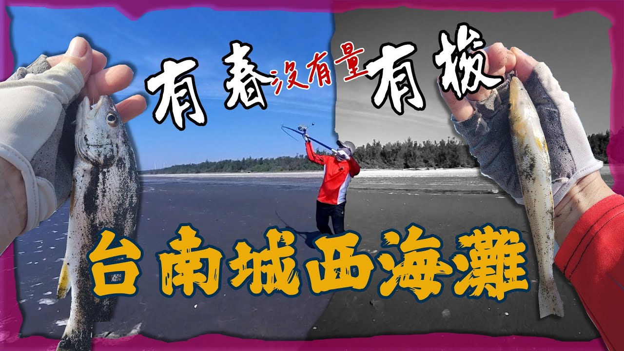 【遠投灘釣沙梭-109】在春子與老梭之間/在大咬與槓龜之間/在港仔西與蔡姑娘之間/吃越遠我越興奮/在出門與被窩之間 #SurfCasting #キス #BeachFishing