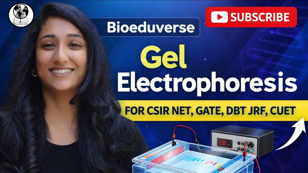 Gel Electrophoresis | CSIR NET | GATE XL | DBT JRF | DBT JRF | CUET 