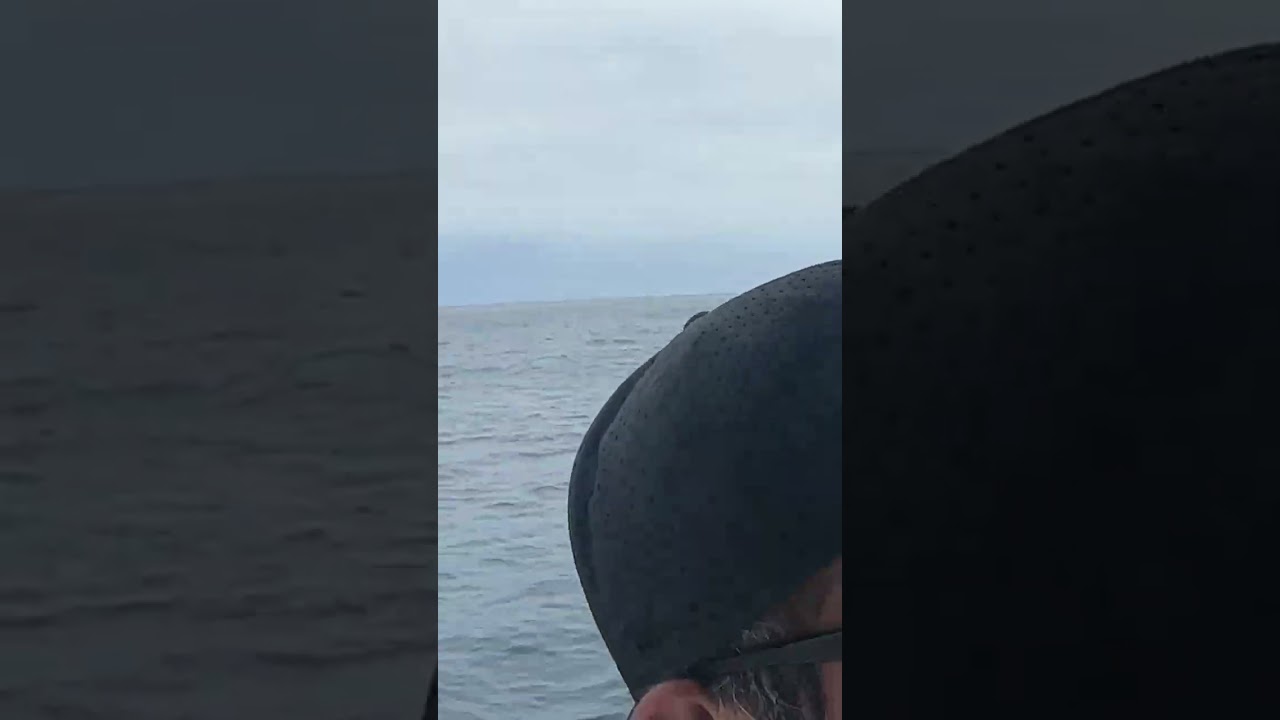 Getting the bite on camera is the hardest but so awesome to watch !!!!!!  Here&rsquo;s a good one for you!