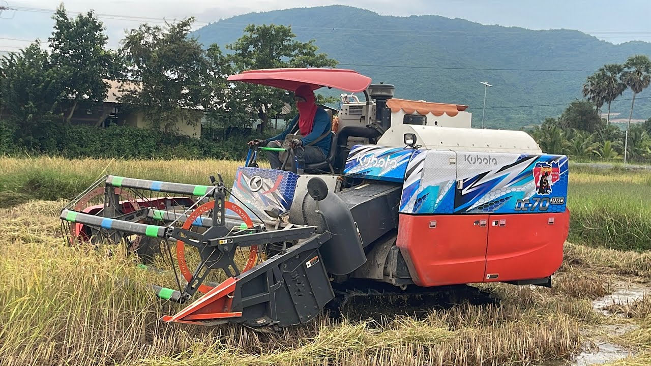 Ngày đầu vụ của a máy cắt lúa kubota dc70