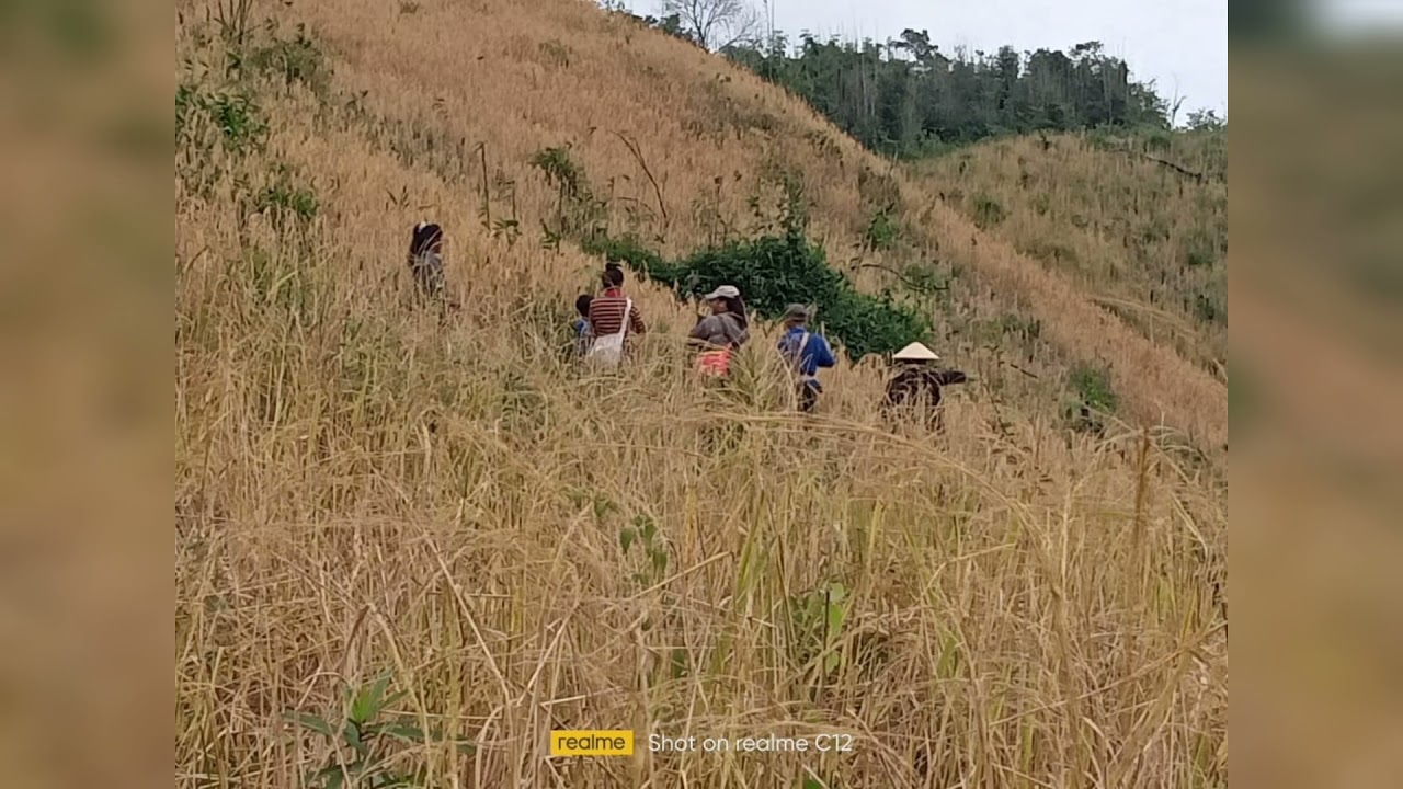 ເຕີມ: ບິຣຫຼວງພະບາງ เตีม บิรหลวงพระบาง ເຕີມ :ຖິ້ນຫຼວງພະບາງ