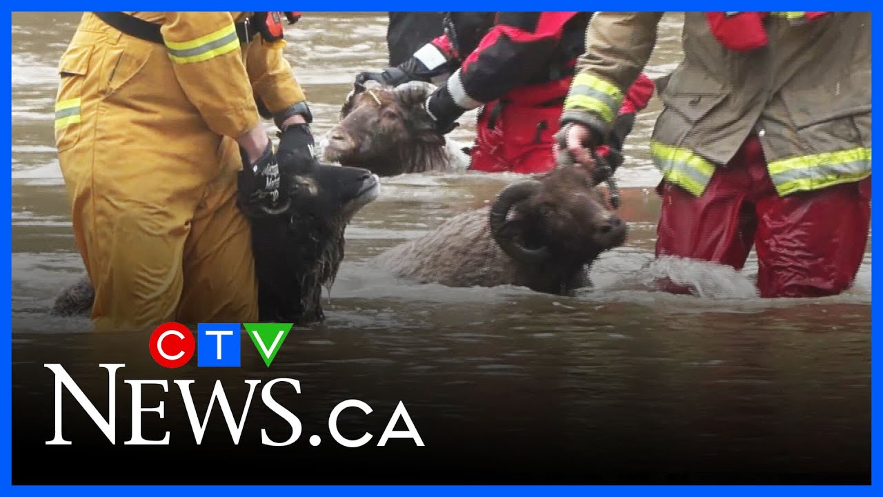 Widespread flooding causes state of emergency declaration in Comox Valley