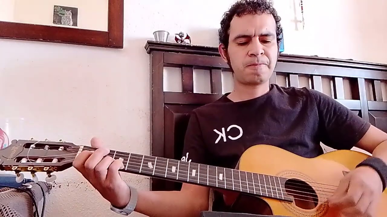 Te soñé - el coyote y su tierra santa - guitar cover 
