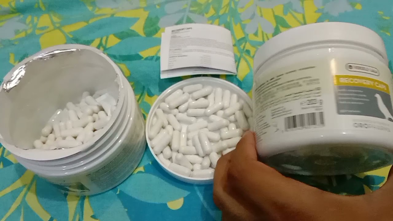 Sambhalny waly recovery capsule ki pehchan || asim saeeds pigeons