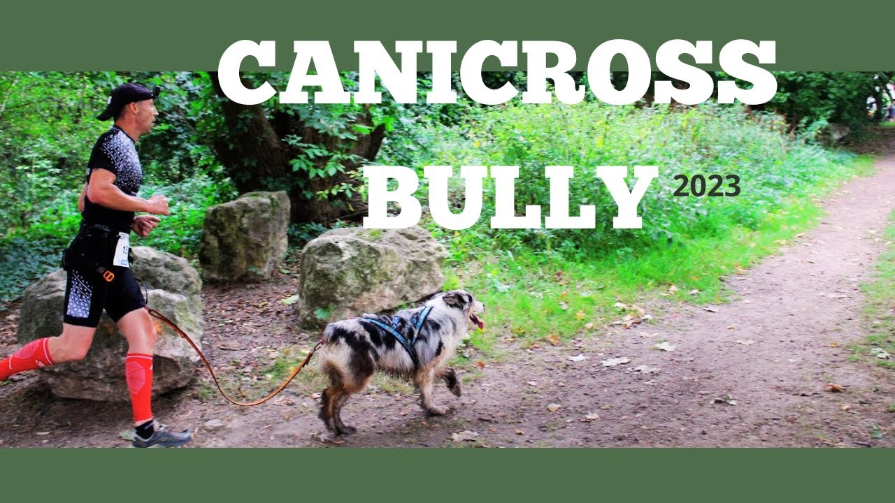 Canicross de Bully 4ème édition #chien #competition #canicross #sports