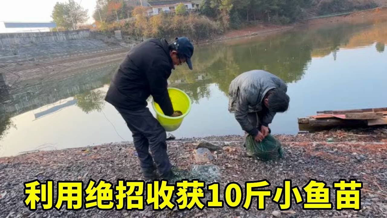 我们抓鱼有高招，收获很多小杂鱼，鱼肉煮豆腐是我们的最爱【乡野志刚】