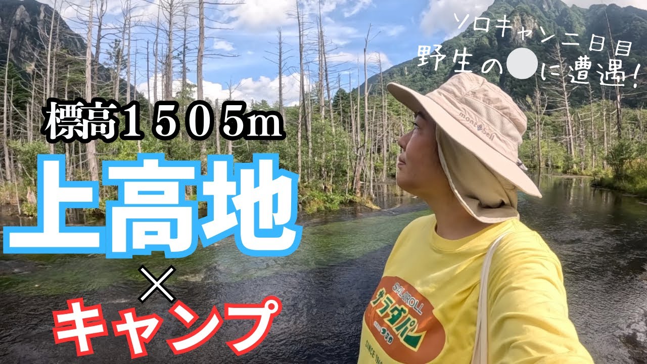 標高１５０５mの避暑地、バスで楽々２５分の上高地岳沢湿原へ。野生の⚪︎に囲まれ緊張の散策