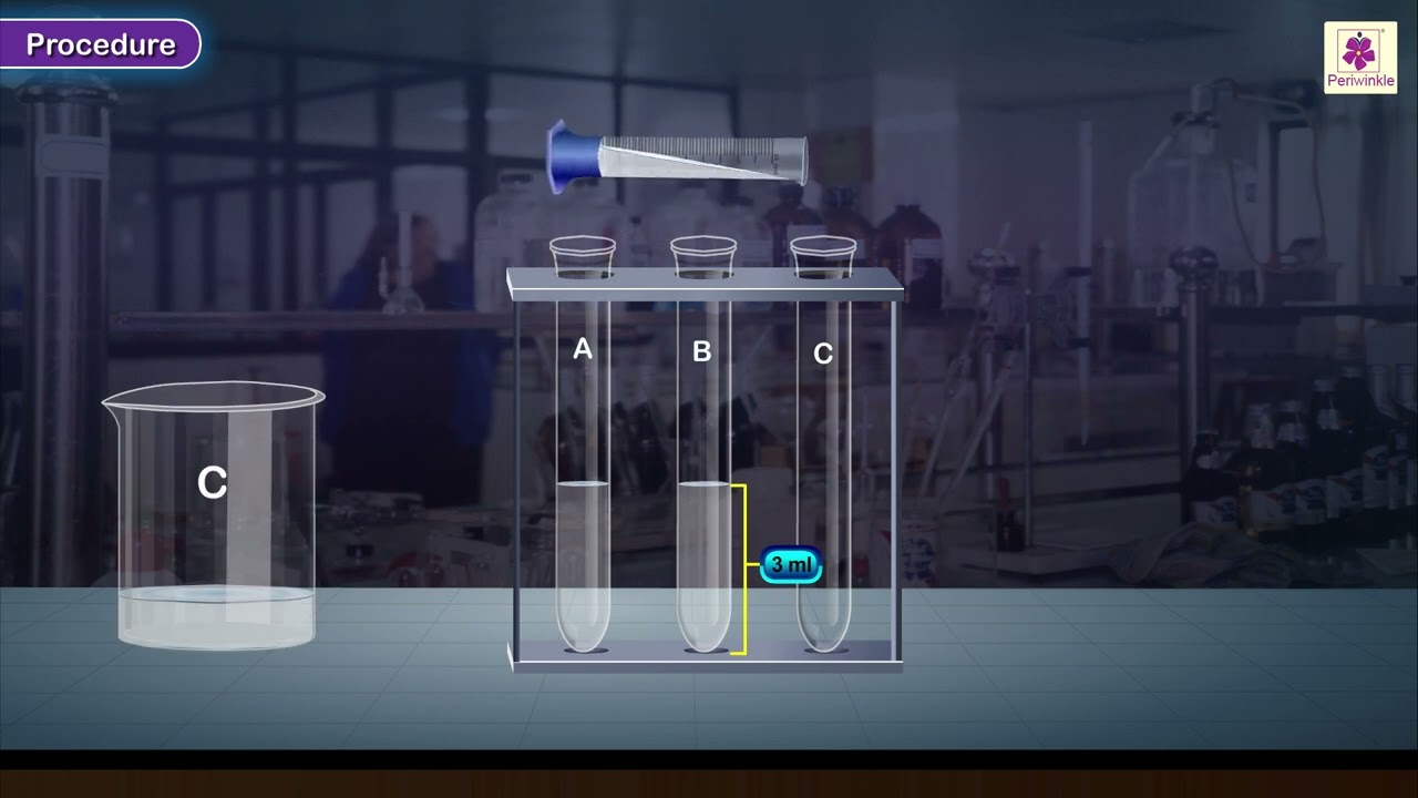 Comparison of Cleansing Capacity of Soap in Soft and Hard Water | Chemistry Experiment | Grade 10