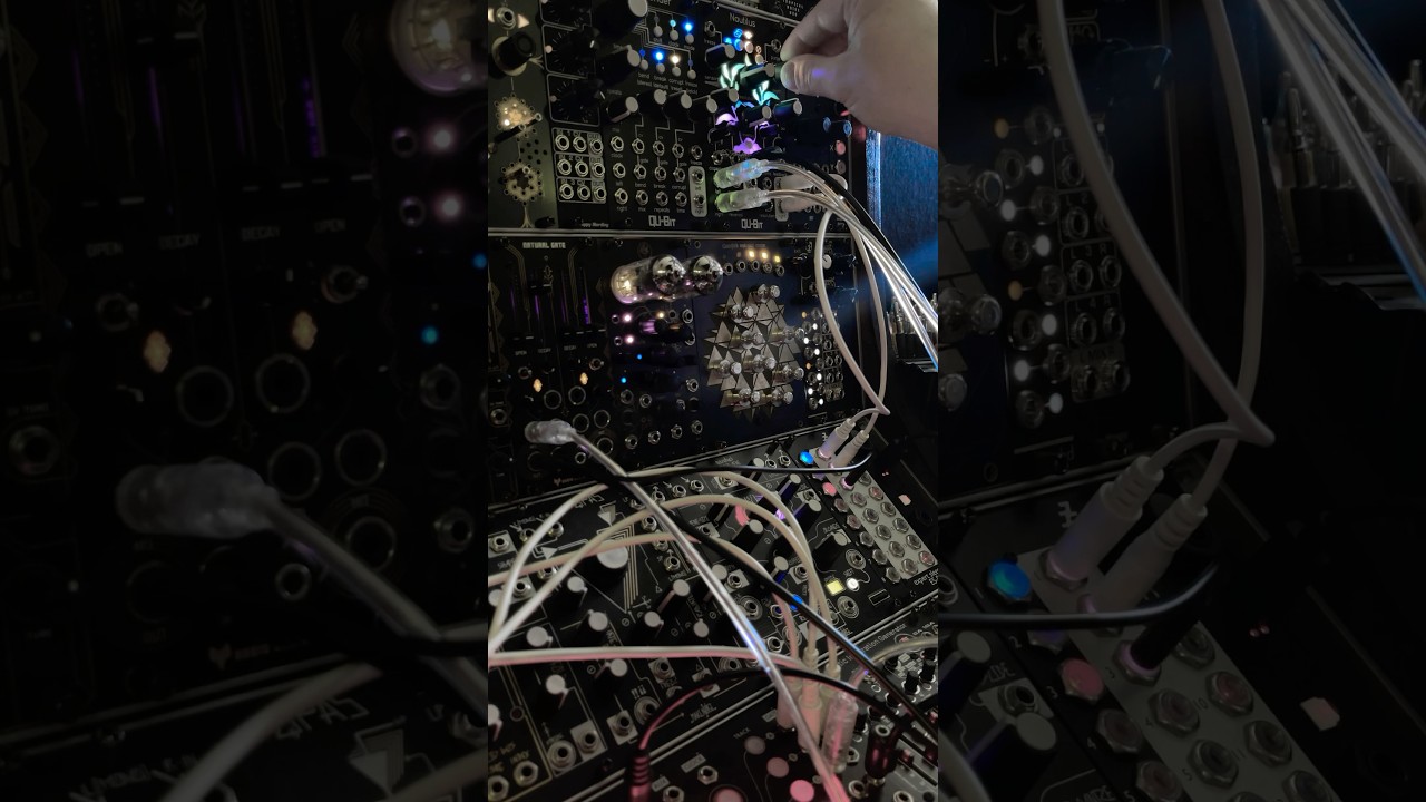 Bitcrushing with Nautilus #qubit #nautilus #eurorack #modular #dpo #makenoise #naturalgate #synth