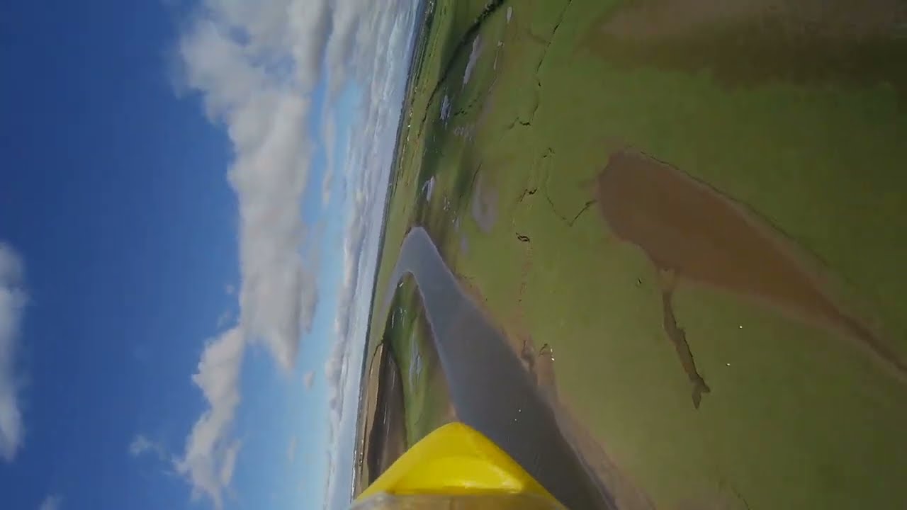 3DLabPrint 'Fanblade' 3D printed aircraft with a 70mm EDF.