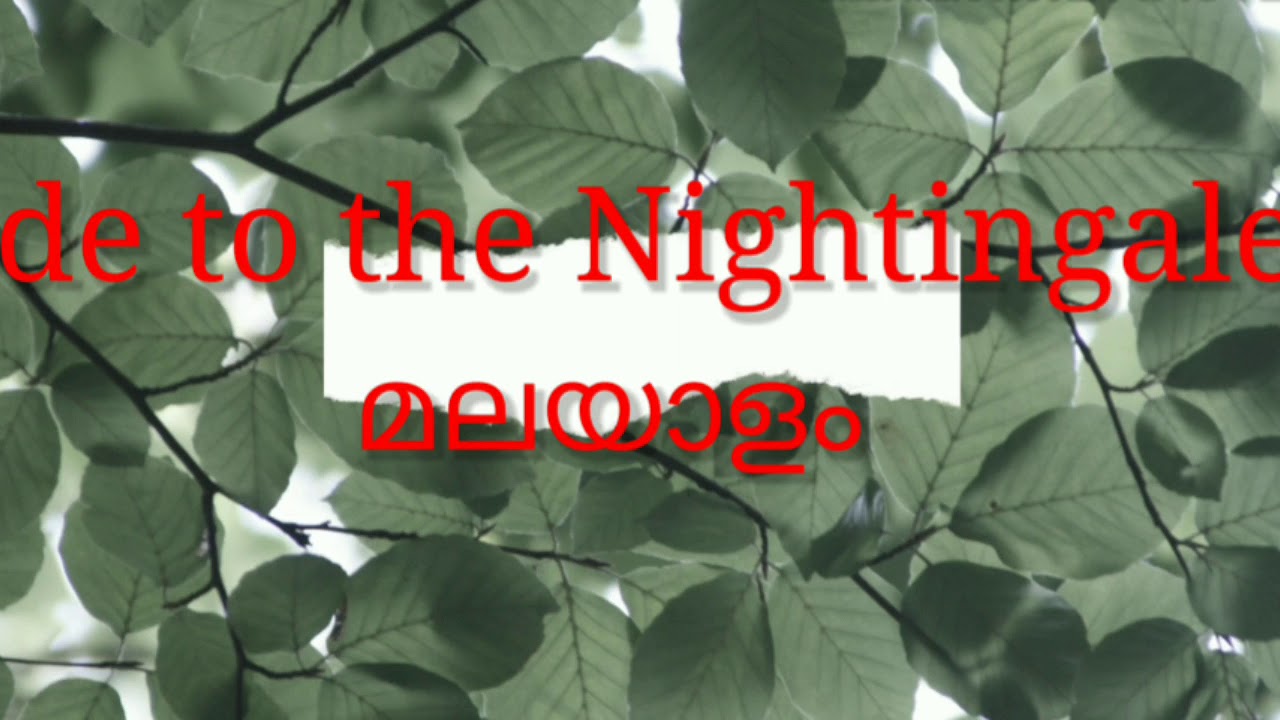 Ode to The Nightingale Summary in Malayalam