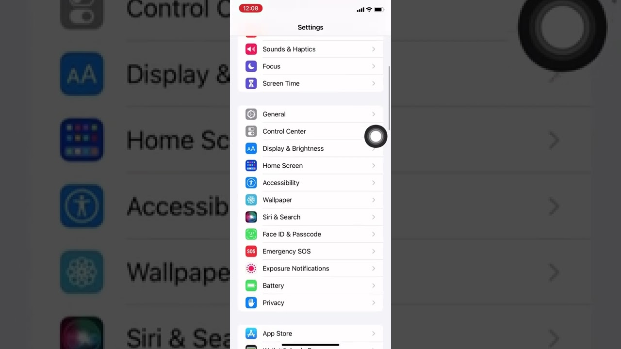 How to get the black dot bug on your iPhone 👍🏾