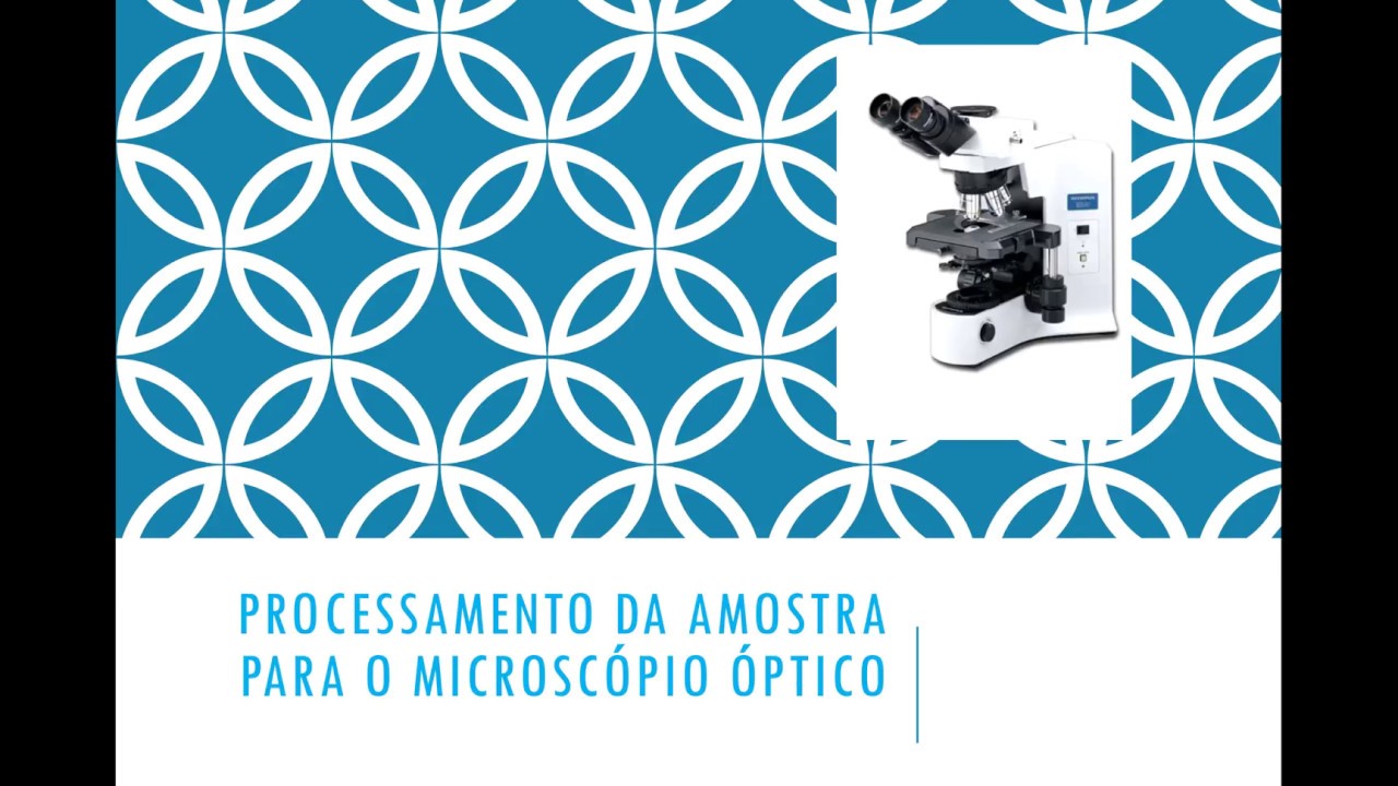 1 Preparo das lâminas Histológicas