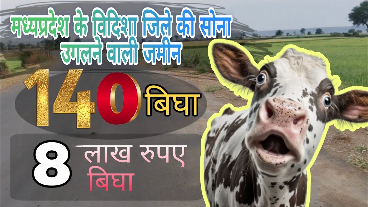 🔥मध्यप्रदेश के विदिशा जिले की सोना उगलने वाली जमीन | Profitable Farming Land – Ideal for Agriculture