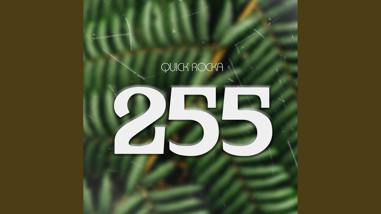 255 (feat. Belle 9)