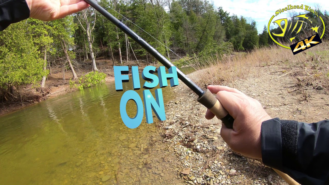 Steelhead Bow float fishing - Georgian Bay tributaries Ontario  4K