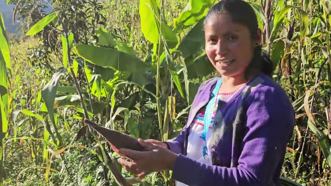 Les compartimos el fruto de nuestro trabajo con mi hijo alex