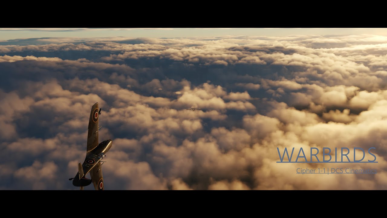 Warbirds | DCS Cinematic