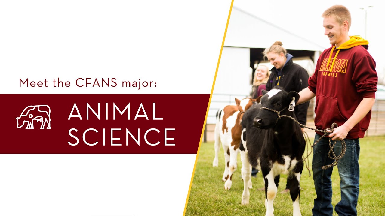 Study Animal Science