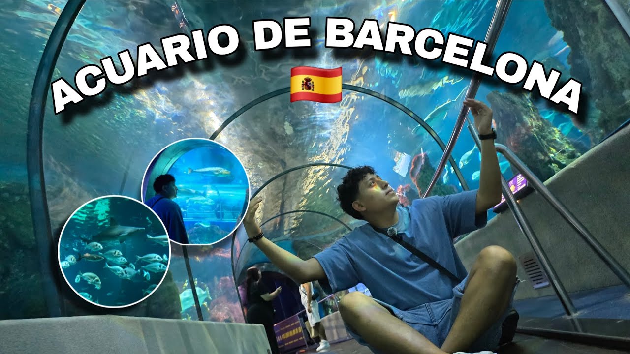 ACUARIO DE BARCELONA 🇪🇸| Quedé Sorprendido! 😱