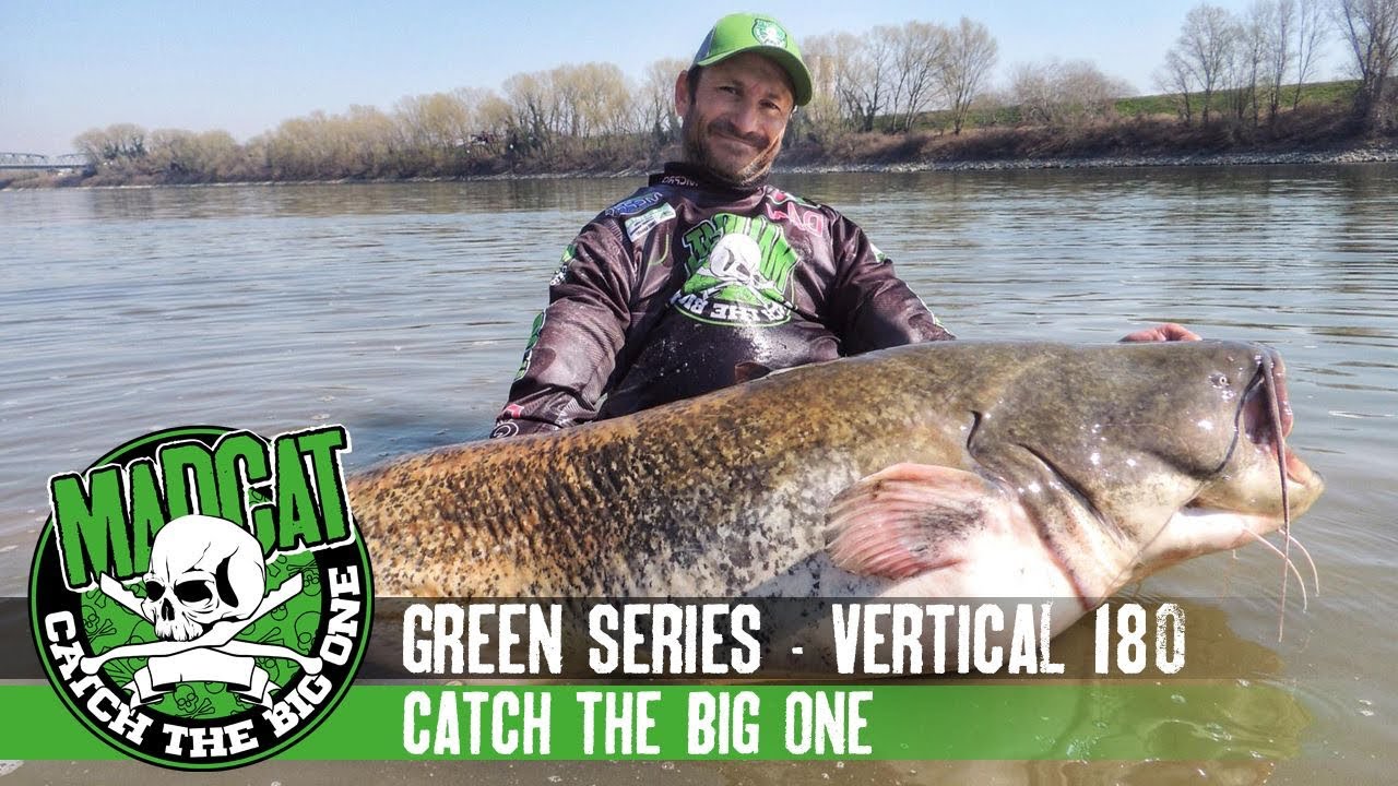 Big One River Po Green Series vertical 180 CM MADCAT #shorts