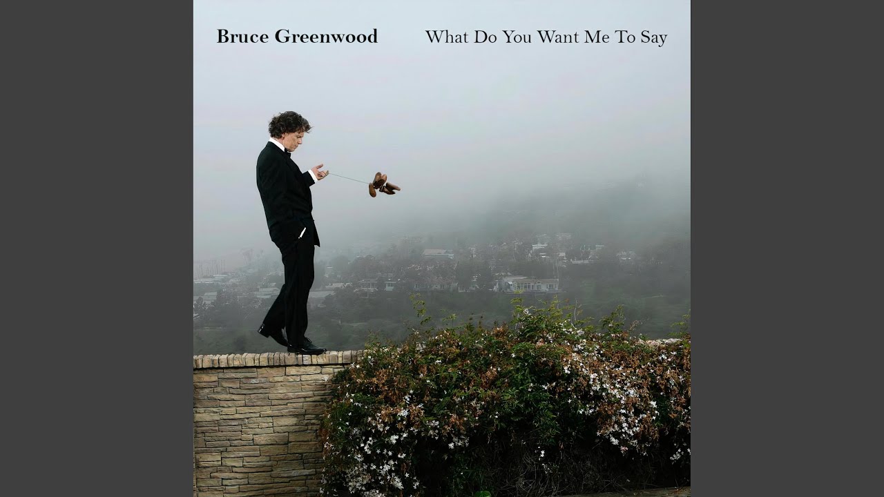 What Do You Want Me To Say