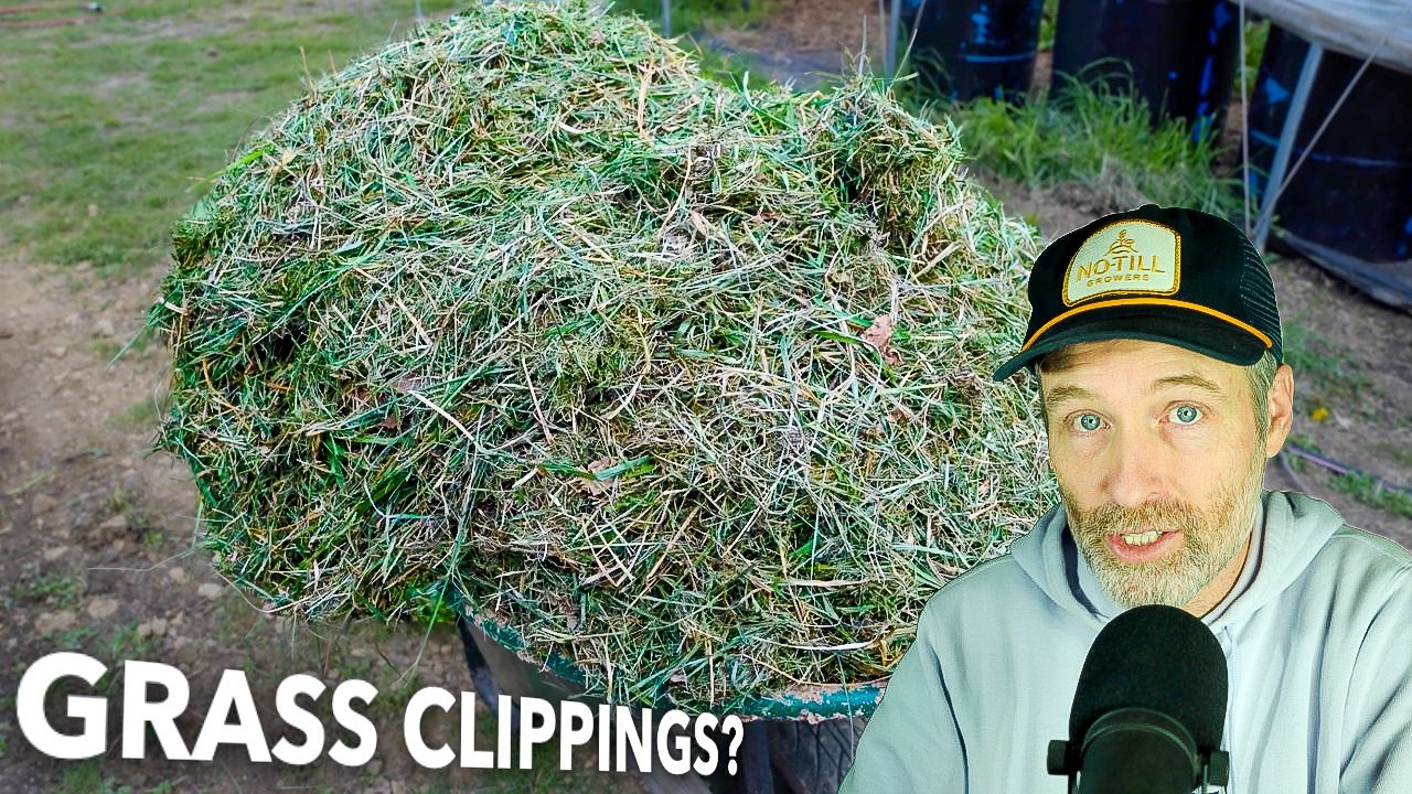 Growing Spring Broccoli + Are “Lawn Care” Grass Clippings Risky for Gardens