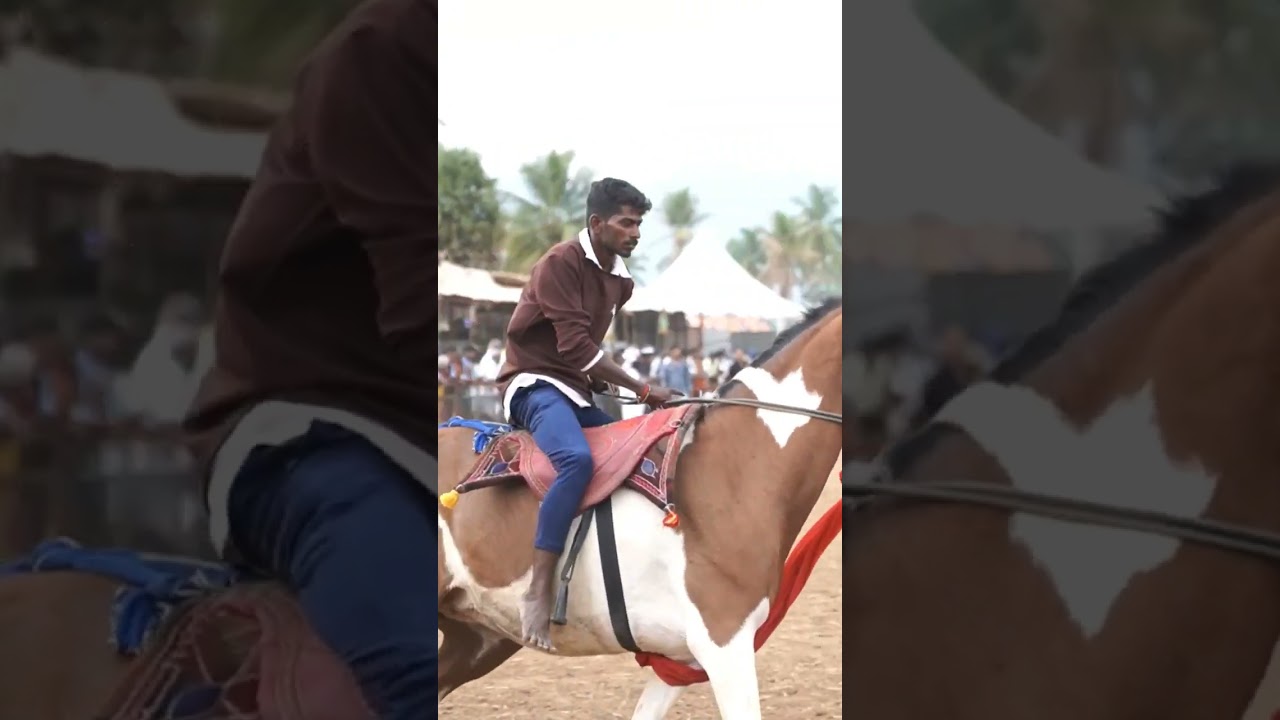 Конная ярмарка Антиюр Гурунатхасвами 2023