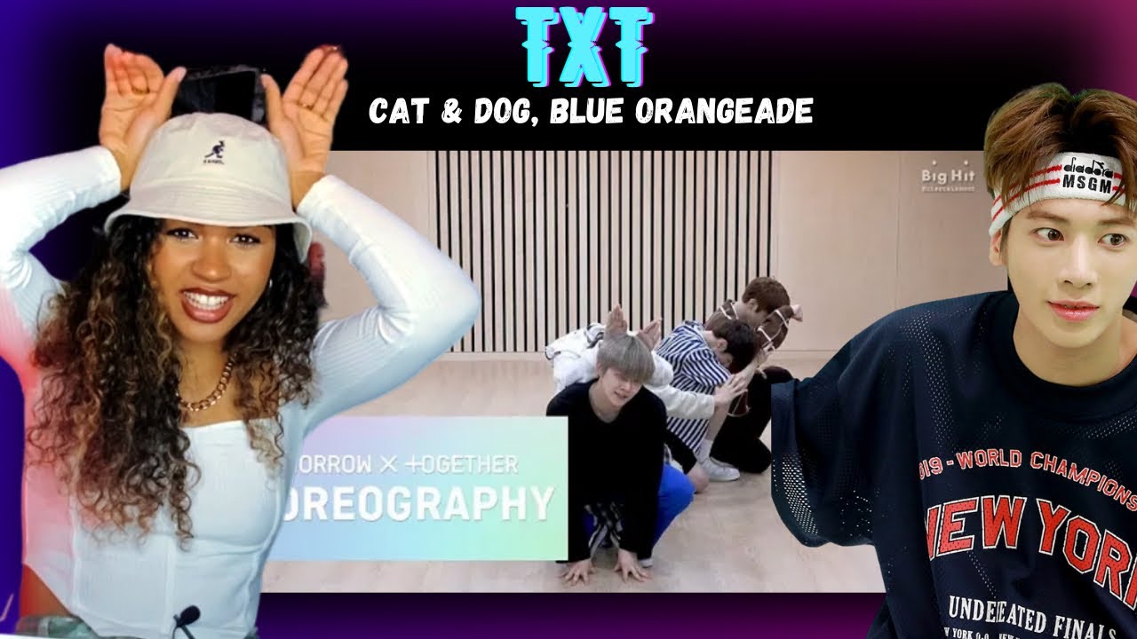 DANCE PRO Discovers TXT - Cat & Dog, Blue Orangeade (Dance Practices)