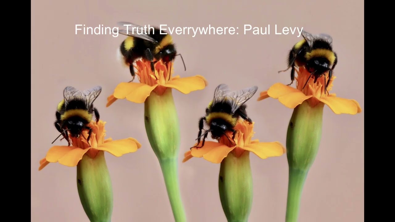 Finding Truth Everywhere Paul Levy