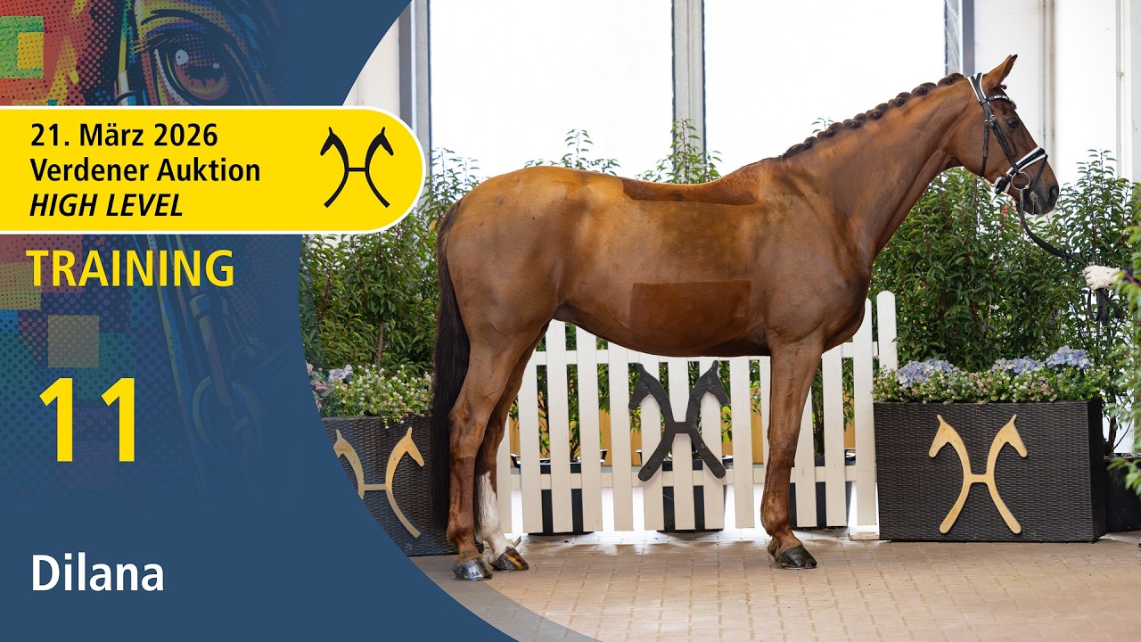 No.  11 Dilana by Diamond Hit  - Dancier  | High Level Auction - OnLive - March, 21th