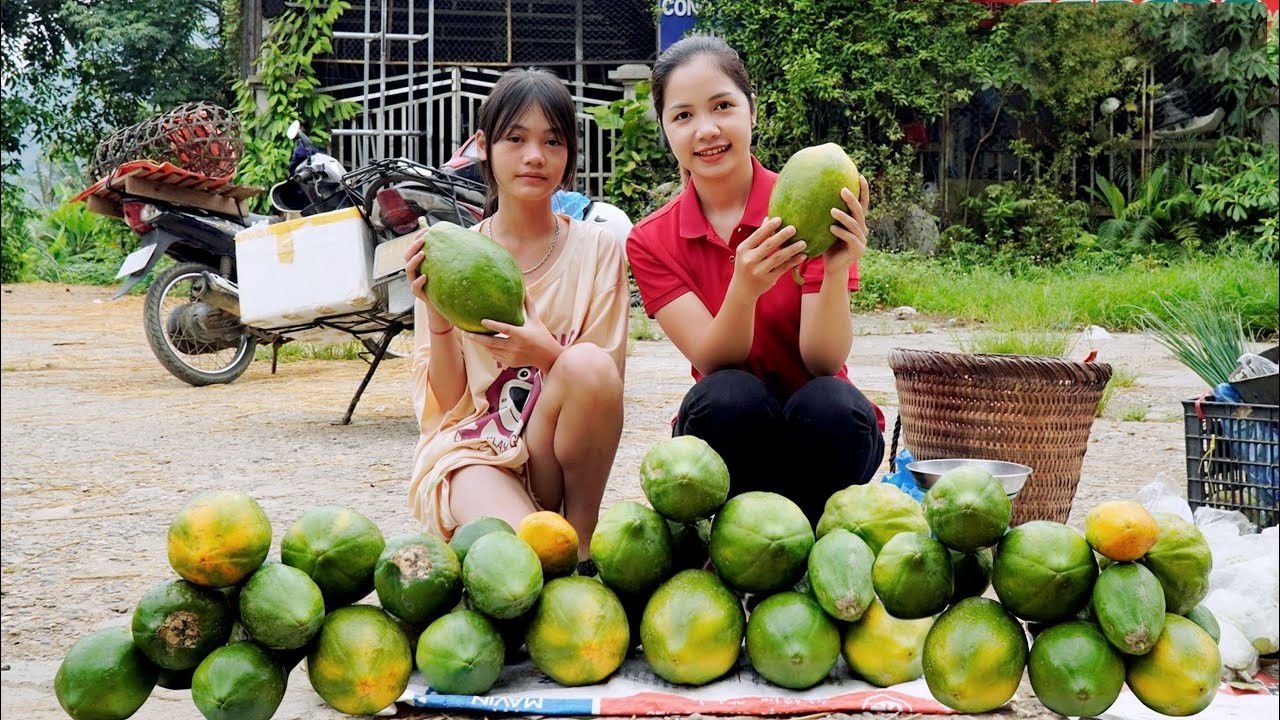 Unbelievable! Harvest Green Papaya: Thousands of Massive Monsters in the Garden