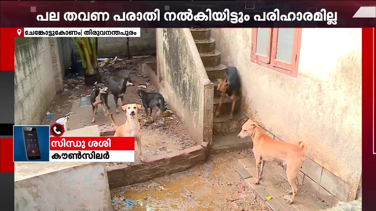 'അയൽവാസികൾക്ക് ബുദ്ധിമുട്ടുണ്ടാകുന്നത് കണ്ടിട്ട് നായകളെ മാറ്റിയില്ല, ഉടൻ നടപടിയെടുക്കും'