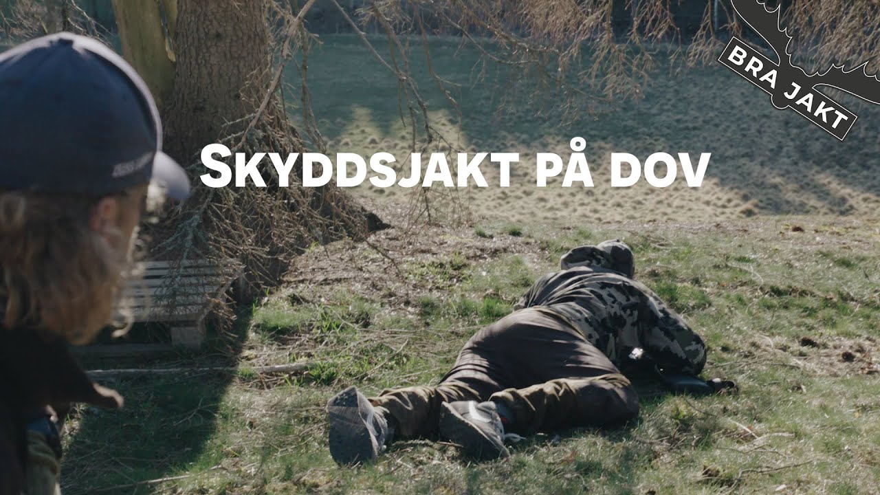 Skyddsjakt p&aring; dov |&nbsp;BRA JAKT
