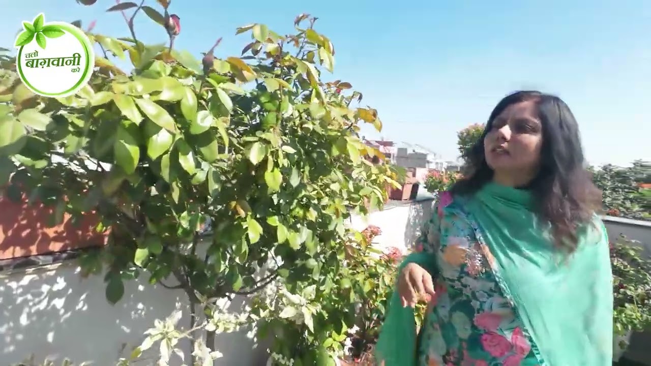 टाइम नहीं मिलता फिर भी बना डाली गजब की बगिया 🪴⏰बागबानी का अनोखा जूनून 😱 Indore Garden Tour Ep-37