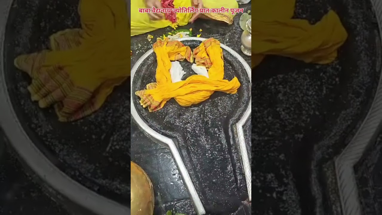 🌺🌿⚘️ बाबा वैद्यनाथ ज्योतिर्लिंग प्रातःकालीन पूजन 🌺🌿⚘️ 18/1/2026 #deoghar #babadham #bholenath #viral