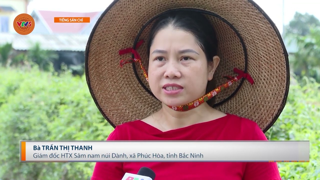[TIẾNG SÁN CHÍ] NÂNG CAO CHẤT LƯỢNG, NĂNG LỰC CẠNH TRANH SẢN PHẨM OCOP | VTV5