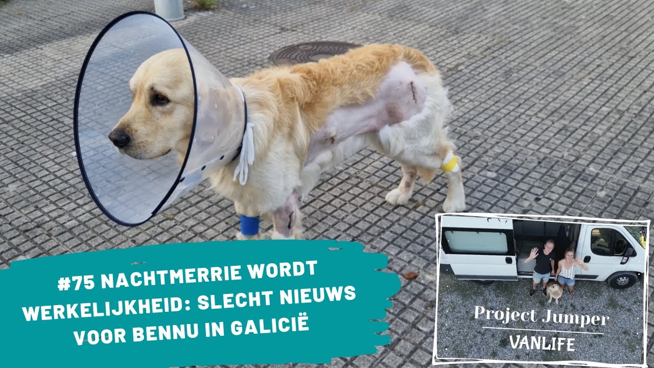 #75 Nachtmerrie wordt werkelijkheid: slecht nieuws voor Bennu in Galicië 😱🤕 | Project Jumper VANLIFE
