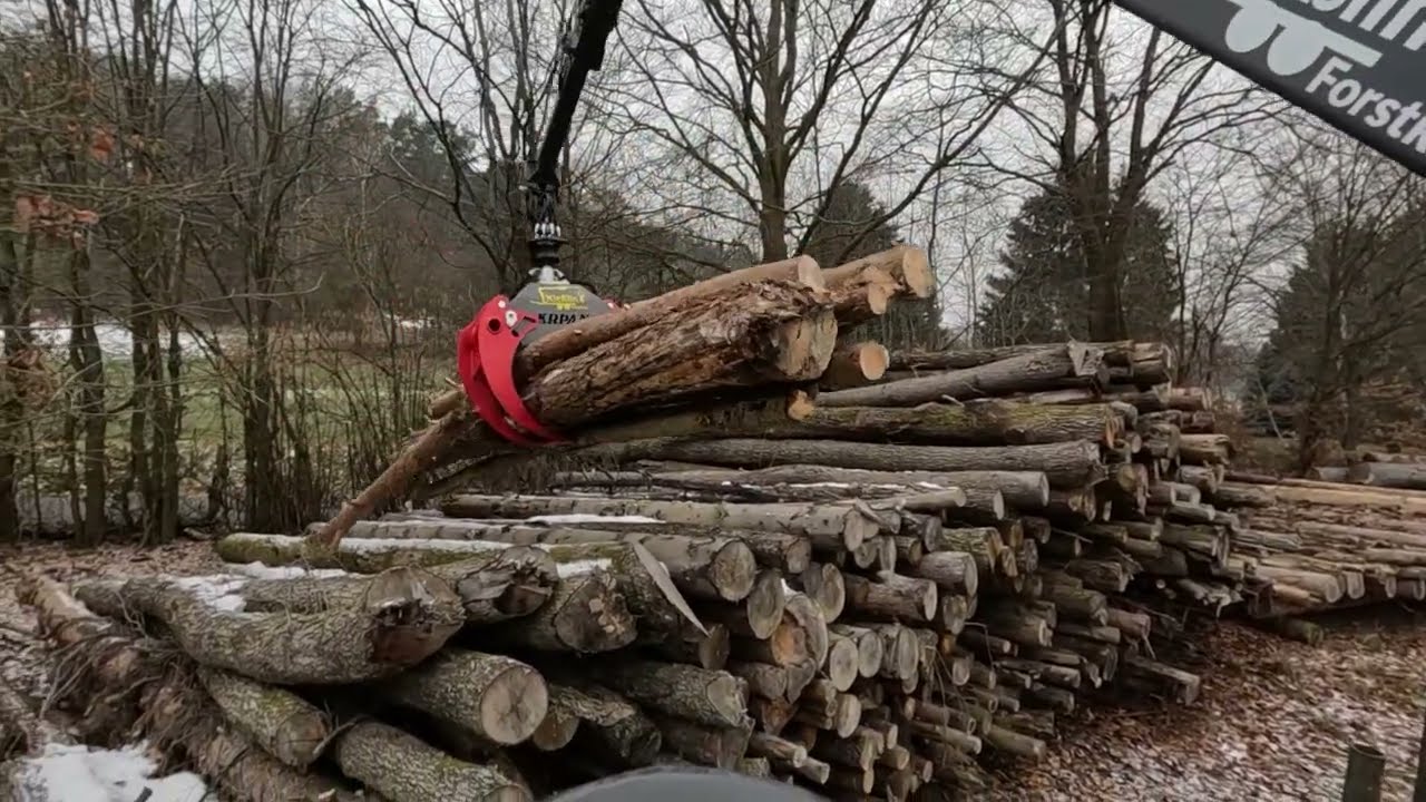 Reisig Laden mit Kiessling Rückewagen /Forest Trailer