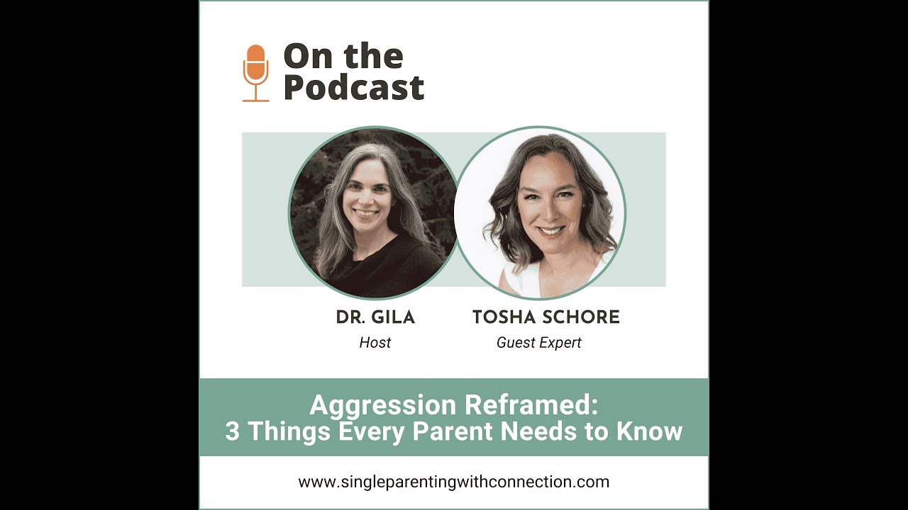 Aggression Reframed: 3 Things Every Parent Needs to Know, with Tosha Schore