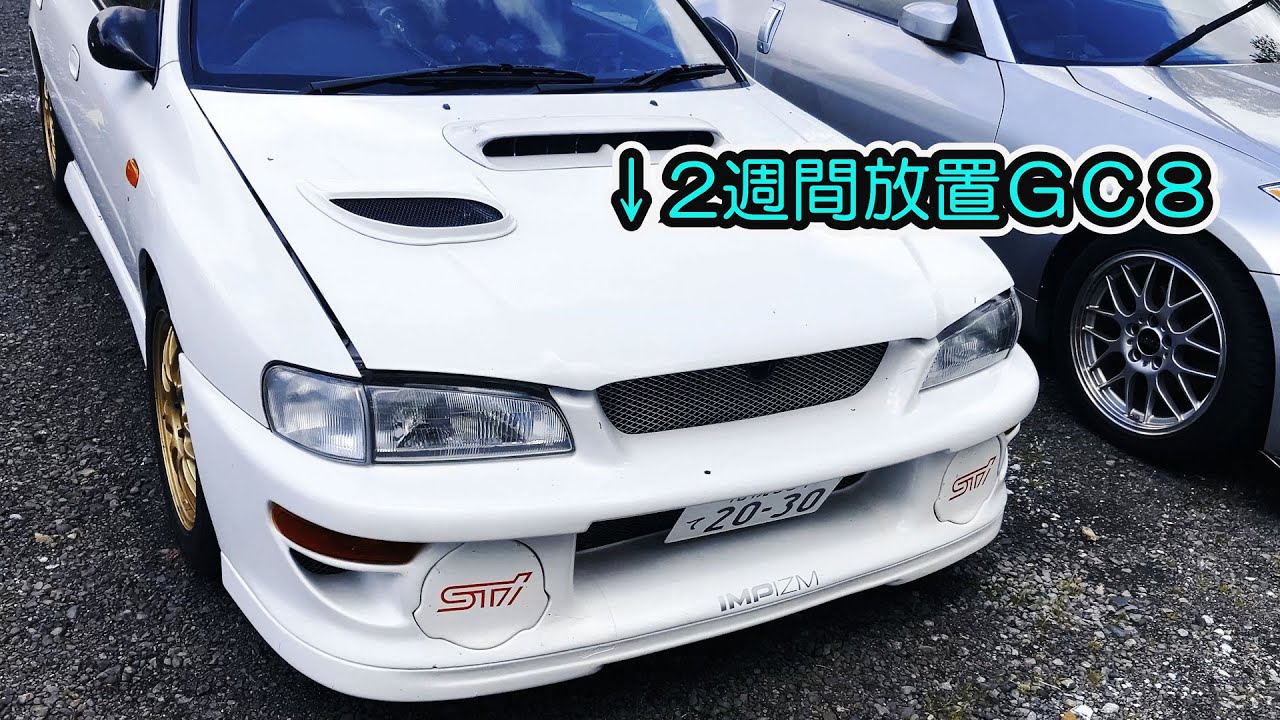 北海道で2週間放置したインプレッサの末路【野鳥に愛されてしまったGC8】