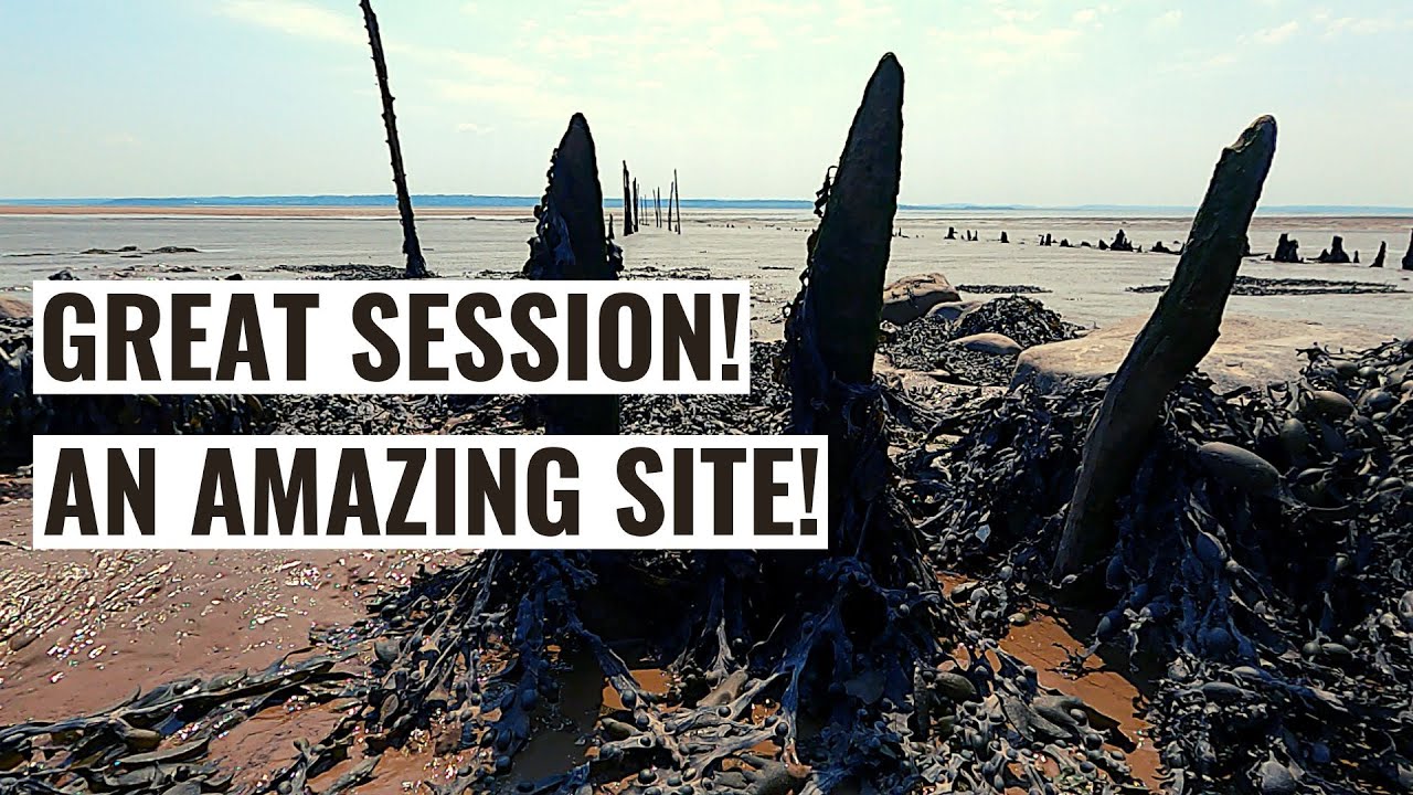 An Unbelievable Sea Fishing Session That I Will Never Forget!