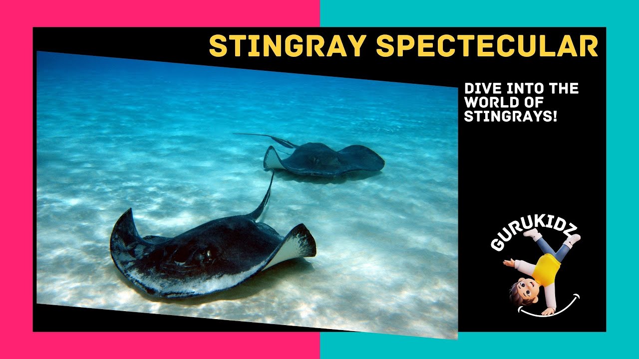 Stingray Spectacular - Dive into the World of Stingrays for Kids by GURUKIDZ