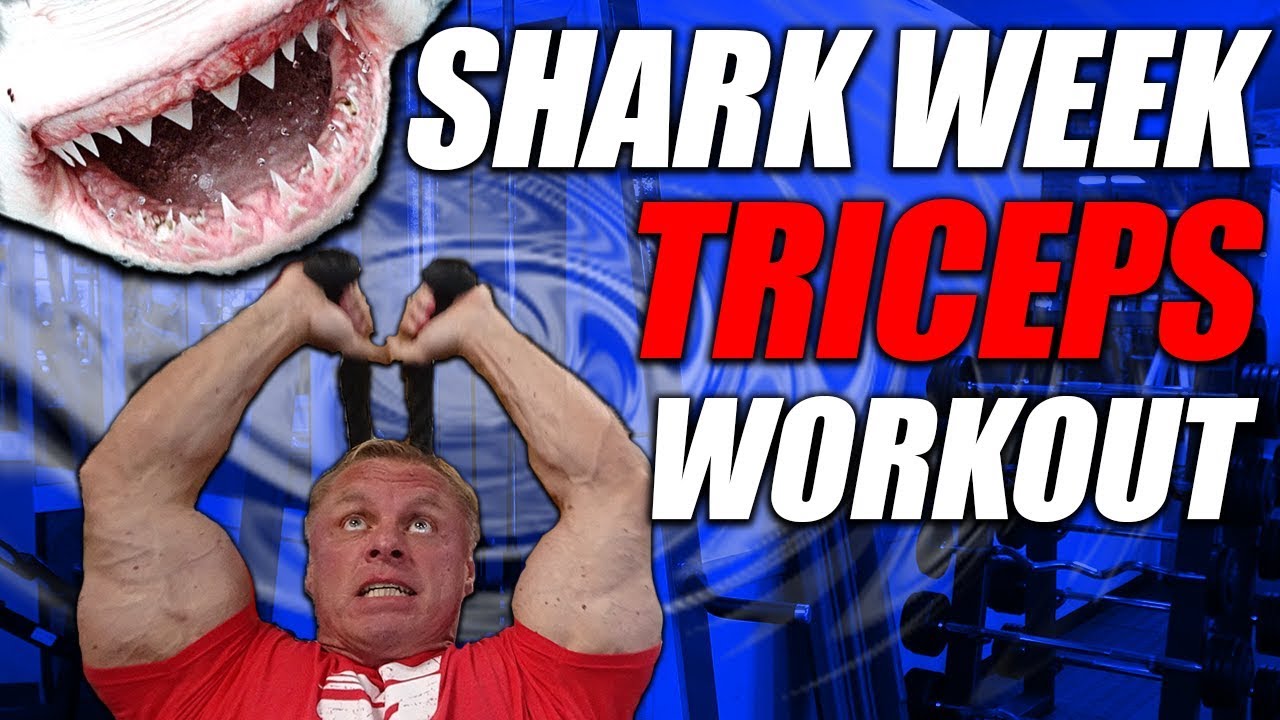 Megalodon Triceps Workout | Massive Tricep Pump 🦈