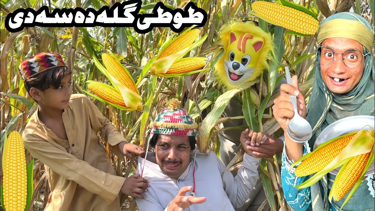 Tuti Gulla Da Sa De  || New Funny Video 2024 by Bebe Vines Plus