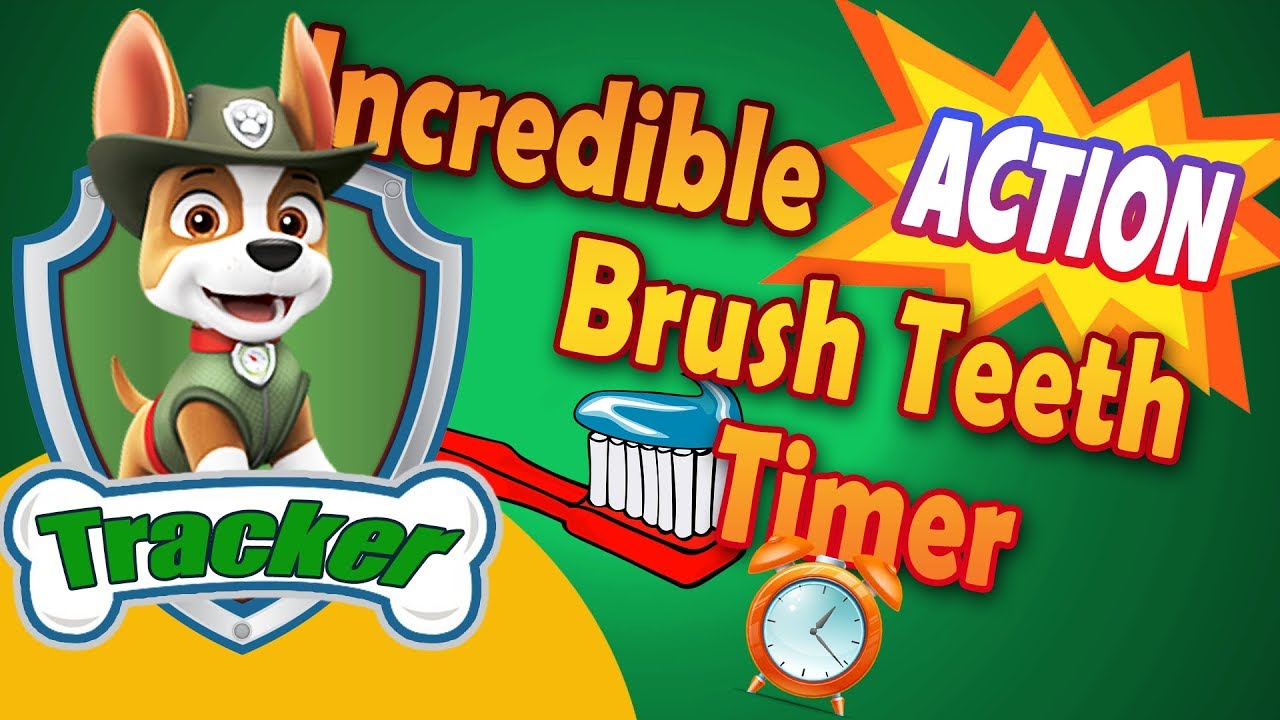 Incredible Action Toothbrushing Timer Paw Patrol Tracker with music