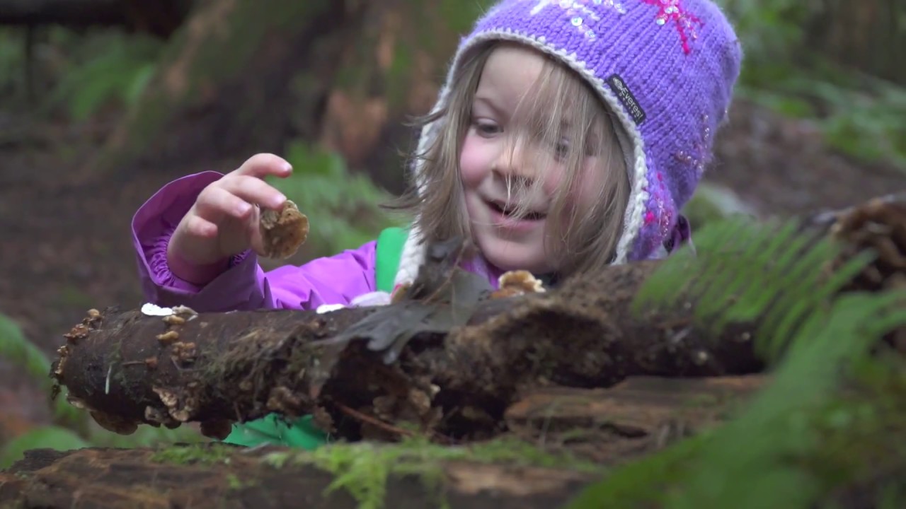 Who is Wilderness Awareness School?