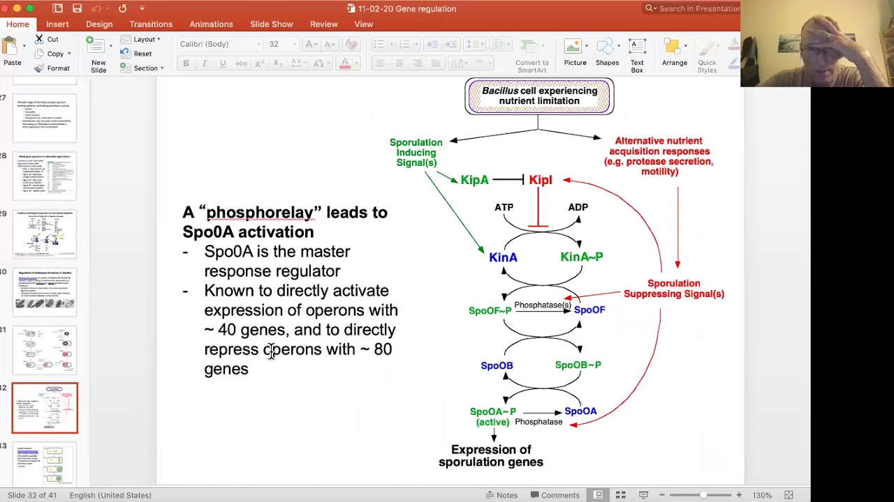 11-03-20 Transcriptional regulation - alternative sigma factors